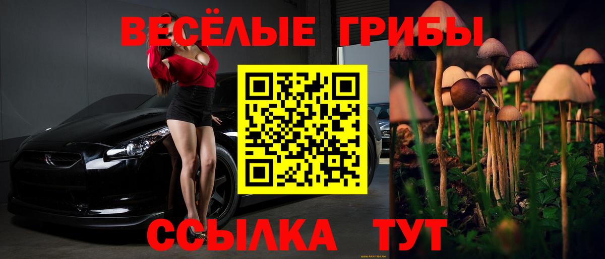 Псилоцибиновые грибы Psilocybine cubensis  Псилоцибиновые грибы мицелий  Чернушка  Вход с VPN 