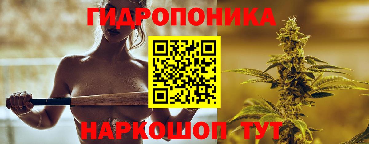 Каннабис семена  Вход с VPN  Чернушка  Конопля марихуана  МАРИХУАНА сатива 